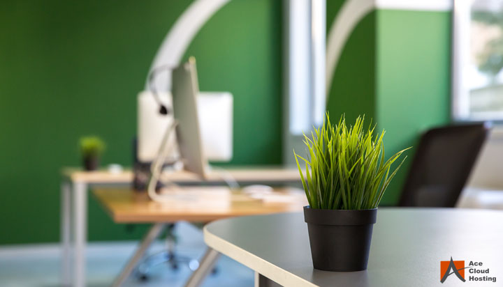 [Video Blog] Green Computing: Go Green, Think Green