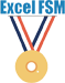 ExcelFSM.png