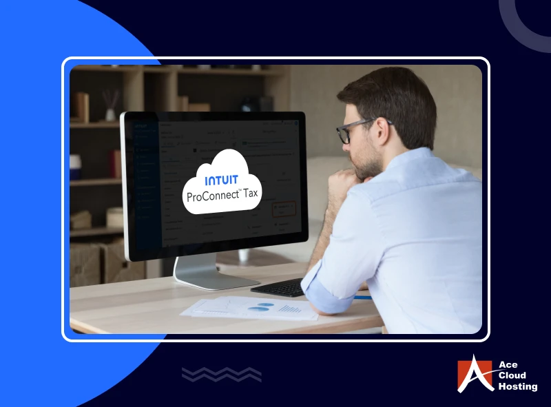 intuit proconnect features