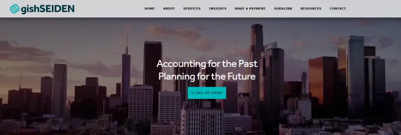 gish seiden women in public accounting
